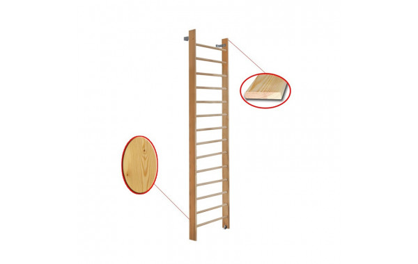 Стенка гимнастическая 300х80см массив.сосна Dinamika ZSO-000054 600_380
