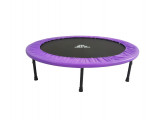 Батут DFC Jump Sun 55' б/сетки (137см) 55INCH-JS-P фиолетовый